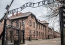Muzeum Auschwitz-Birkenau ogłasza przetarg BIM